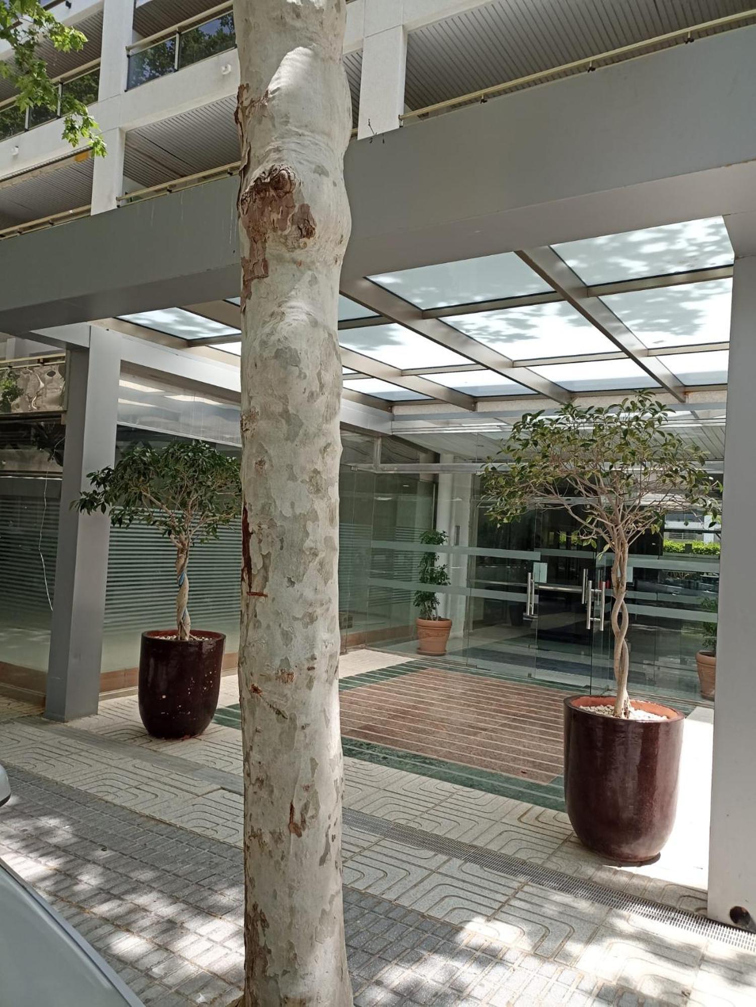 Michelangelo Apartment Salou Luaran gambar